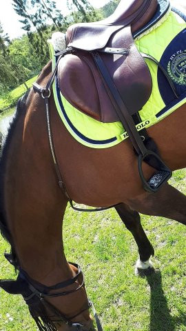 Photo de profil de aliceporta