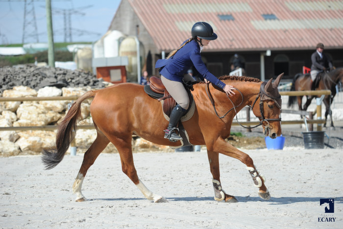Photo de profil de aliceverdier