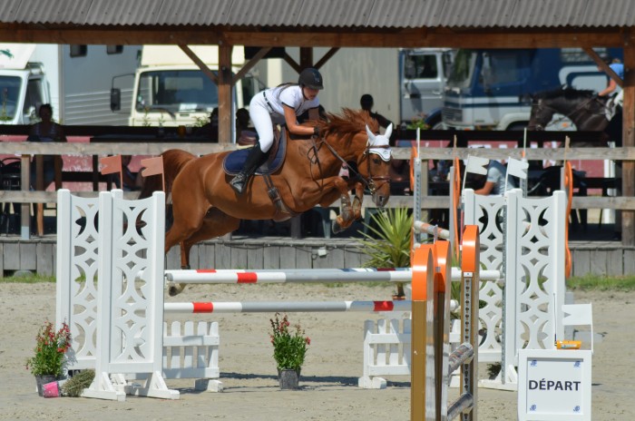 Photo de profil de aliceway