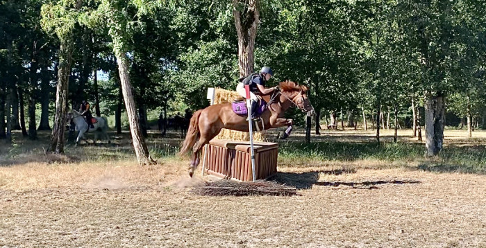 Photo de profil de aliciachipi2