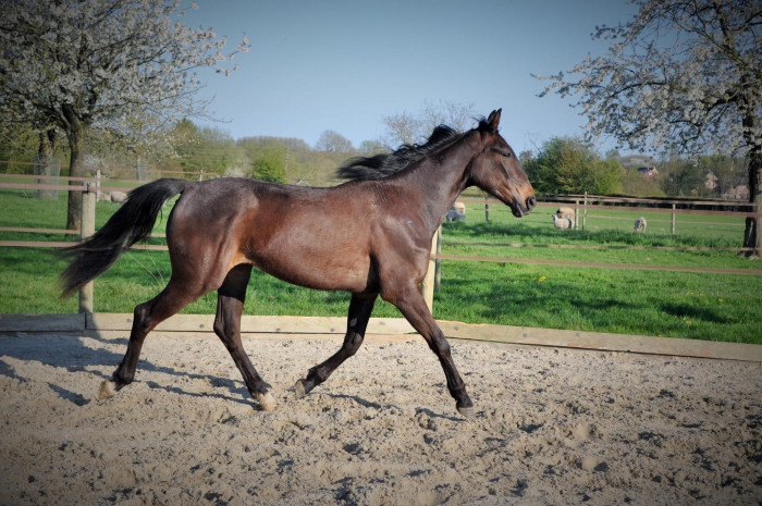 Photo de profil de aliciamttn