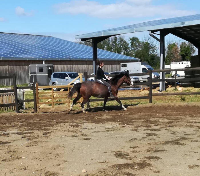 Photo de profil de alideyna