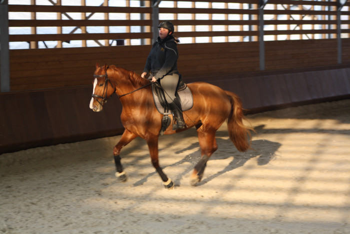 Photo de profil de alifun