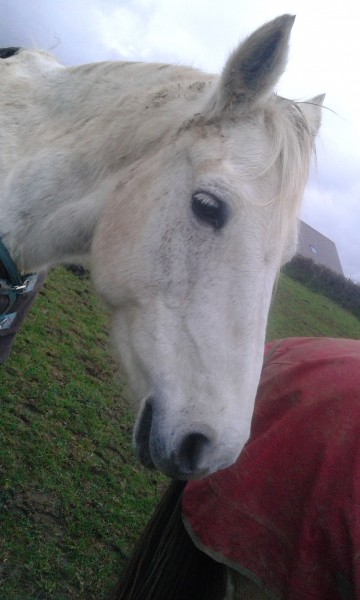 Photo de profil de aline50440