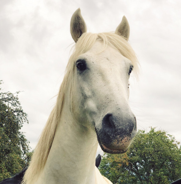 Photo de profil de alinecrinblan