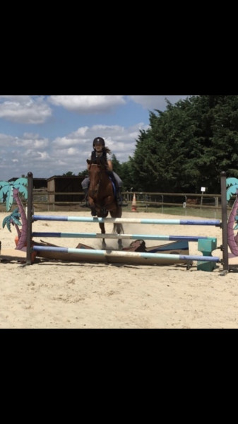 Photo de profil de alizee_rht