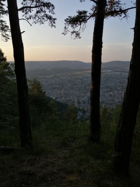 Photo de profil de alpagacurieux