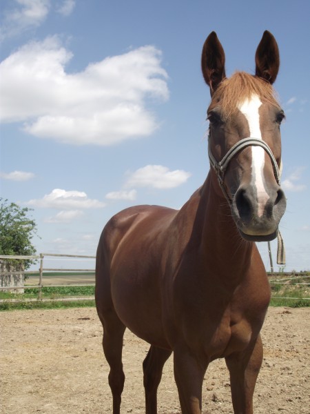 Photo de profil de alreadytorn