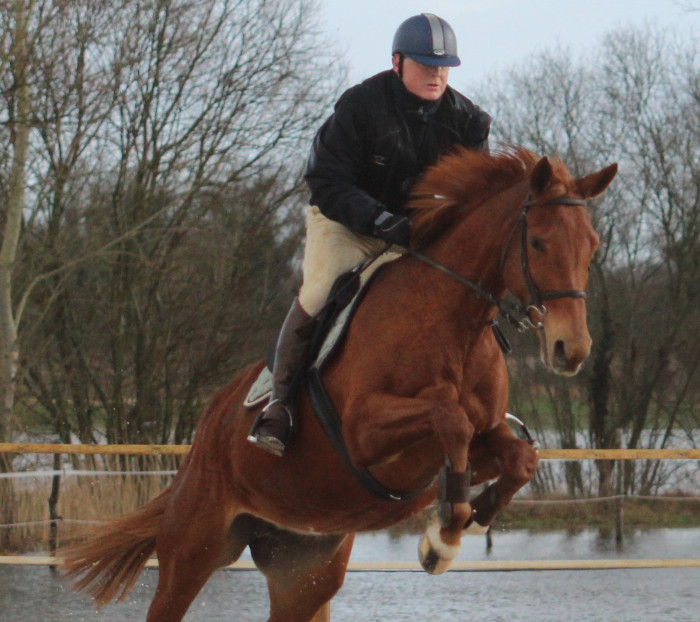 Photo de profil de amadeusm