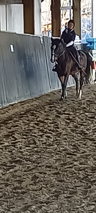 Photo de profil de amandine.b0612