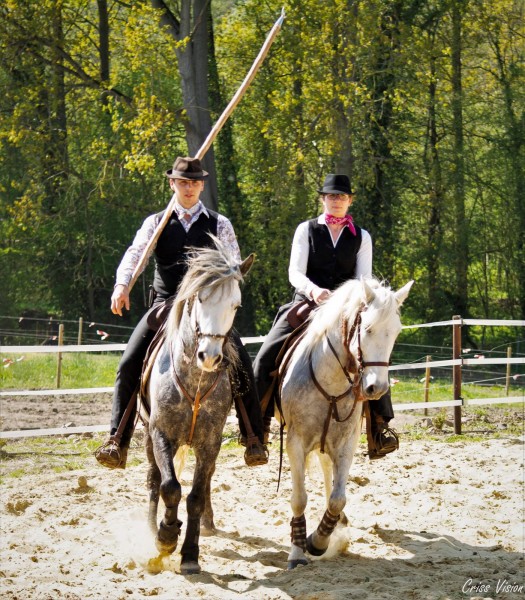 Photo de profil de amandine.denis