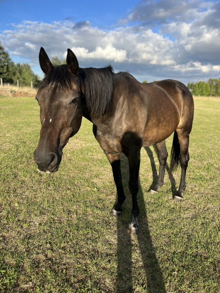 Photo de profil de ambitieux