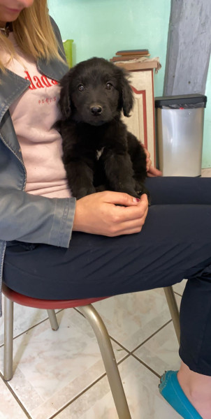 Photo de profil de ambre_.ksr