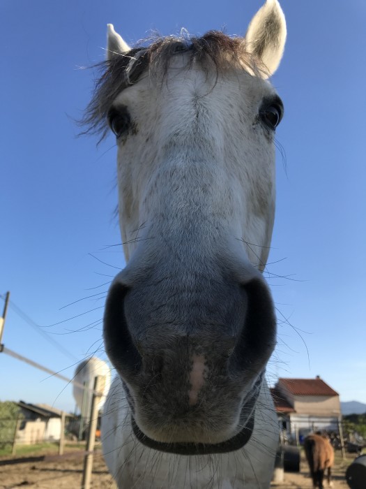 Photo de profil de ambre.lgll