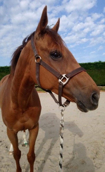 Photo de profil de ameliedebenaze