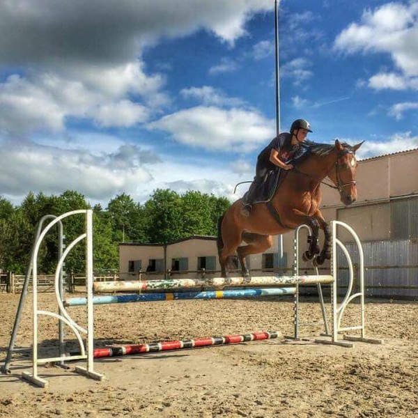 Photo de profil de ameliefiser