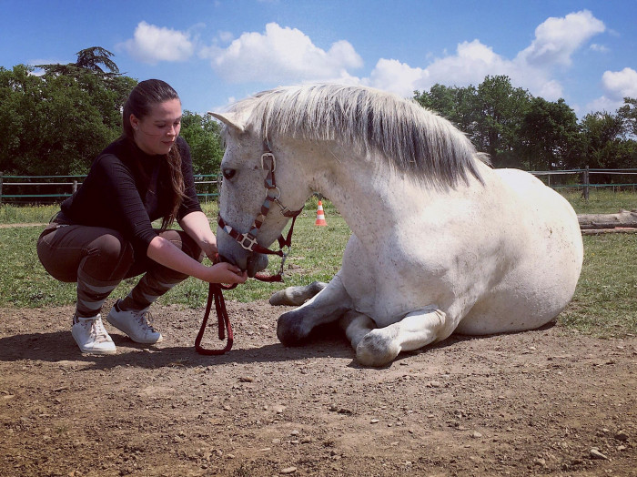 Photo de profil de ameliek31