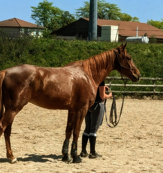 Photo de profil de amelie_sgr