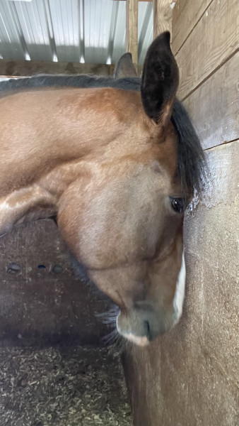 Photo de profil de amethyste19