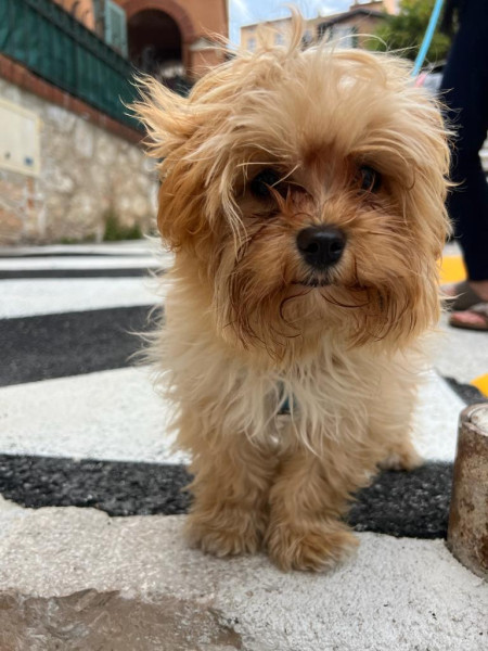 Photo de profil de amyd1