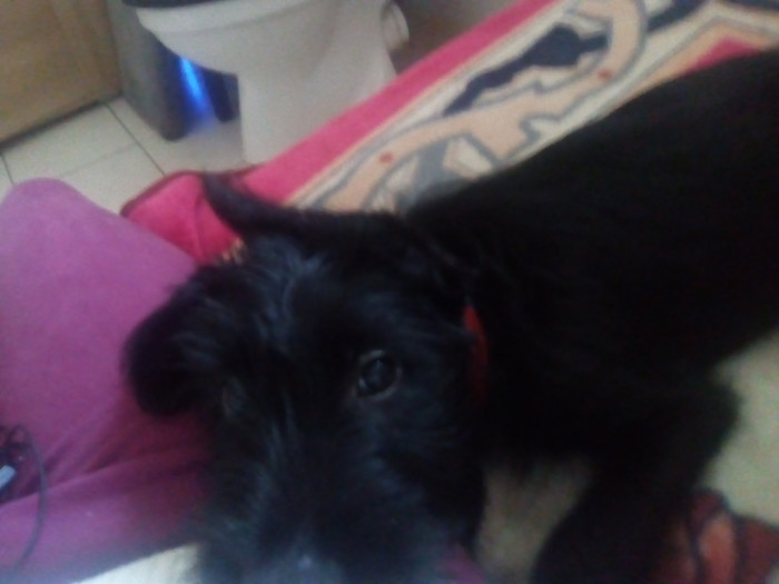 Photo de profil de an22