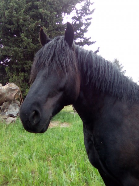 Photo de profil de ana84