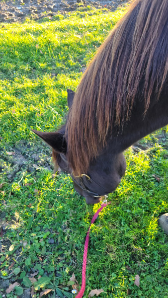 Photo de profil de ana_ctne