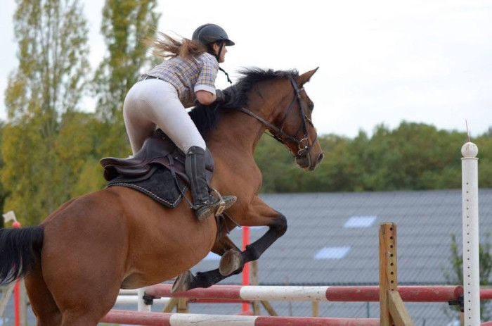 Photo de profil de anais19100