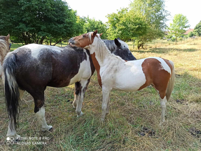 Photo de profil de anais55200