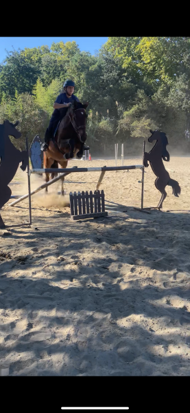 Photo de profil de anaisblz