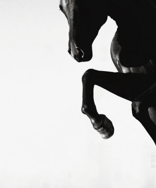Photo de profil de anck_clm