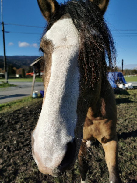 Photo de profil de andymey2