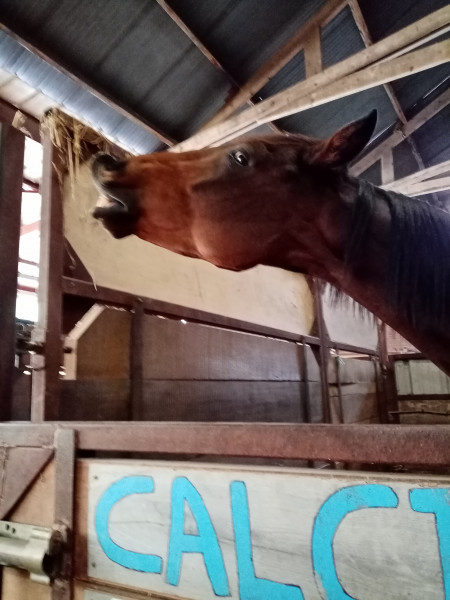 Photo de profil de ange2404