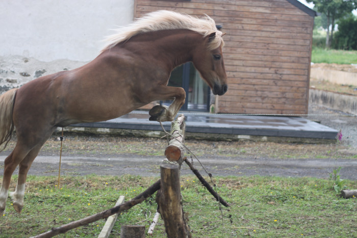 Photo de profil de angele35