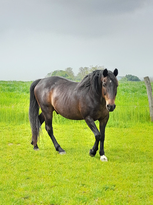 Photo de profil de angele89