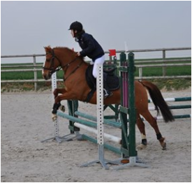 Photo de profil de angelinae