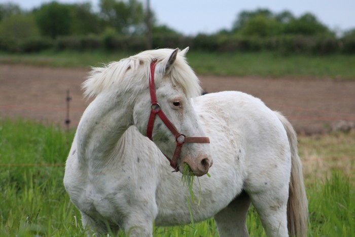 Photo de profil de angrand53