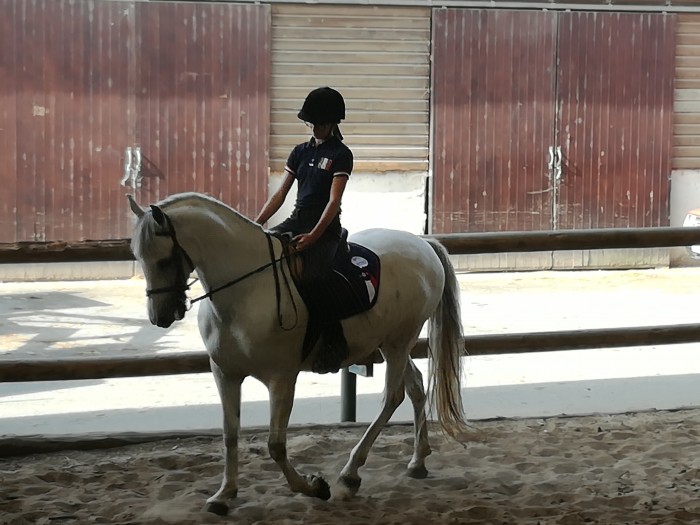 Photo de profil de anmicso