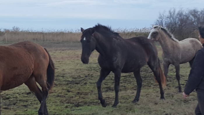 Photo de profil de ann44