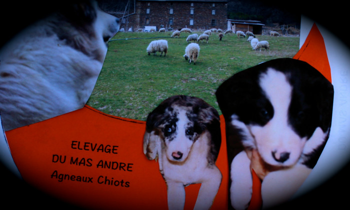 Photo de profil de anne34