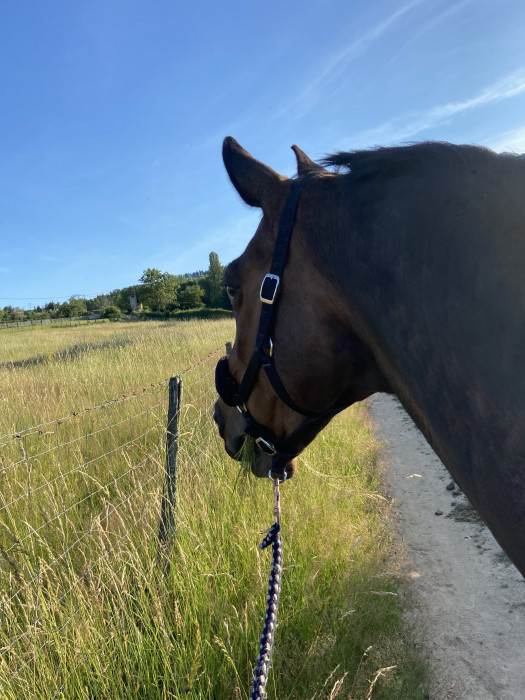 Photo de profil de anneclaire1