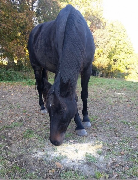 Photo de profil de annemoon73