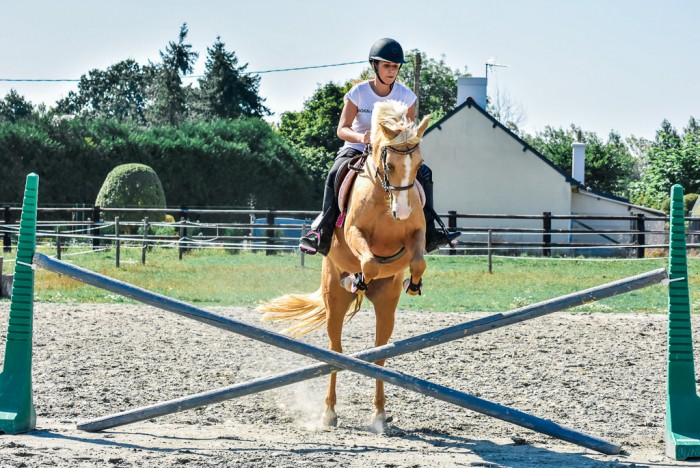 Photo de profil de anneso96