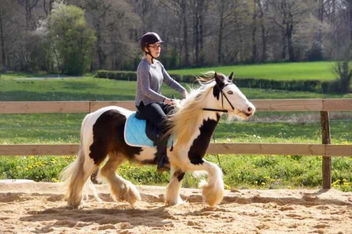 Photo de profil de annetteb