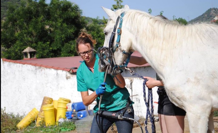 Photo de profil de annso18