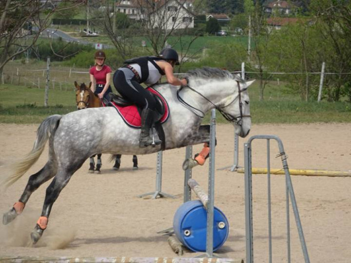 Photo de profil de apache1907