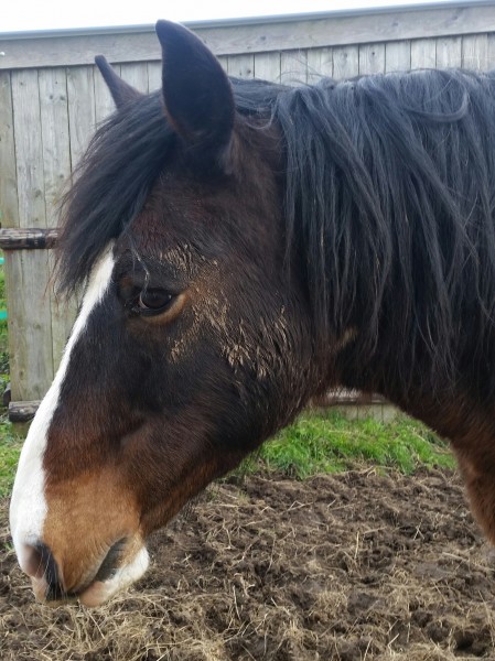 Photo de profil de apachou94