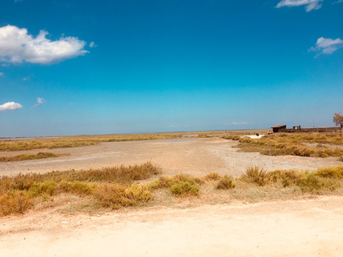 Photo de profil de ar71150