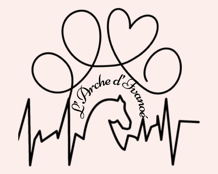 Photo de profil de archedivanoe