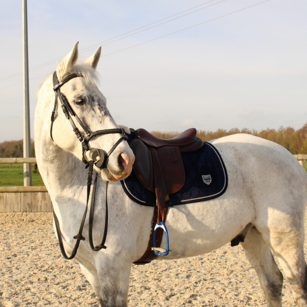 Photo de profil de ariane19